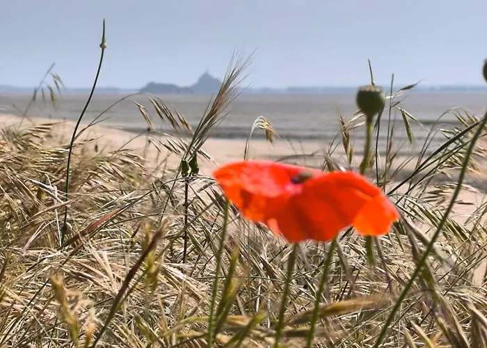 Apartamento Proche De La Baie Du Mont Michel